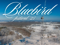 Bluebird Festival